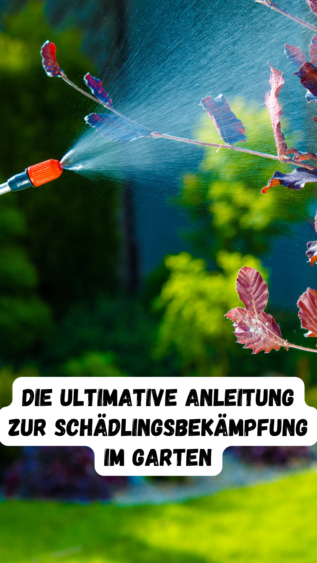 Die ultimative Anleitung zur Schädlingsbekämpfung im Garten 🌿🐜🐛🌼 Die ultimative Anleitung zur Schädlingsbekämpfung im Garten 🌿🐜🐛🌼