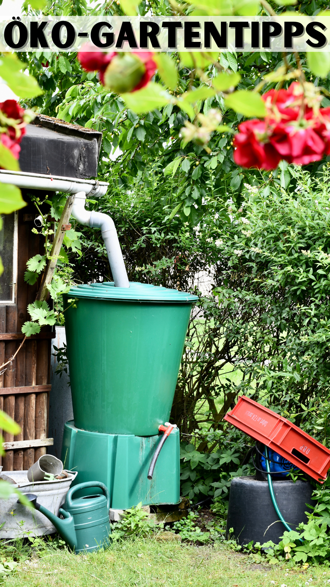 Wie man einen umweltfreundlichen Garten anlegt Wie man einen umweltfreundlichen Garten anlegt