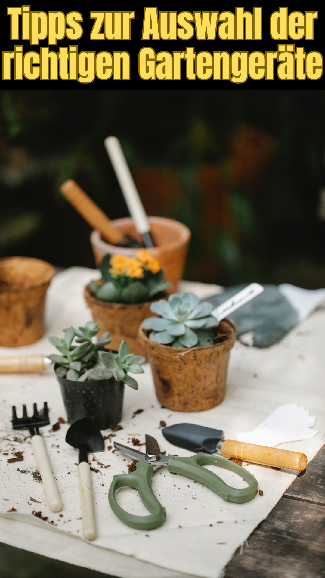 Tipps zur Auswahl der richtigen Gartengeräte 🌱🛠 Tipps zur Auswahl der richtigen Gartengeräte 🌱🛠