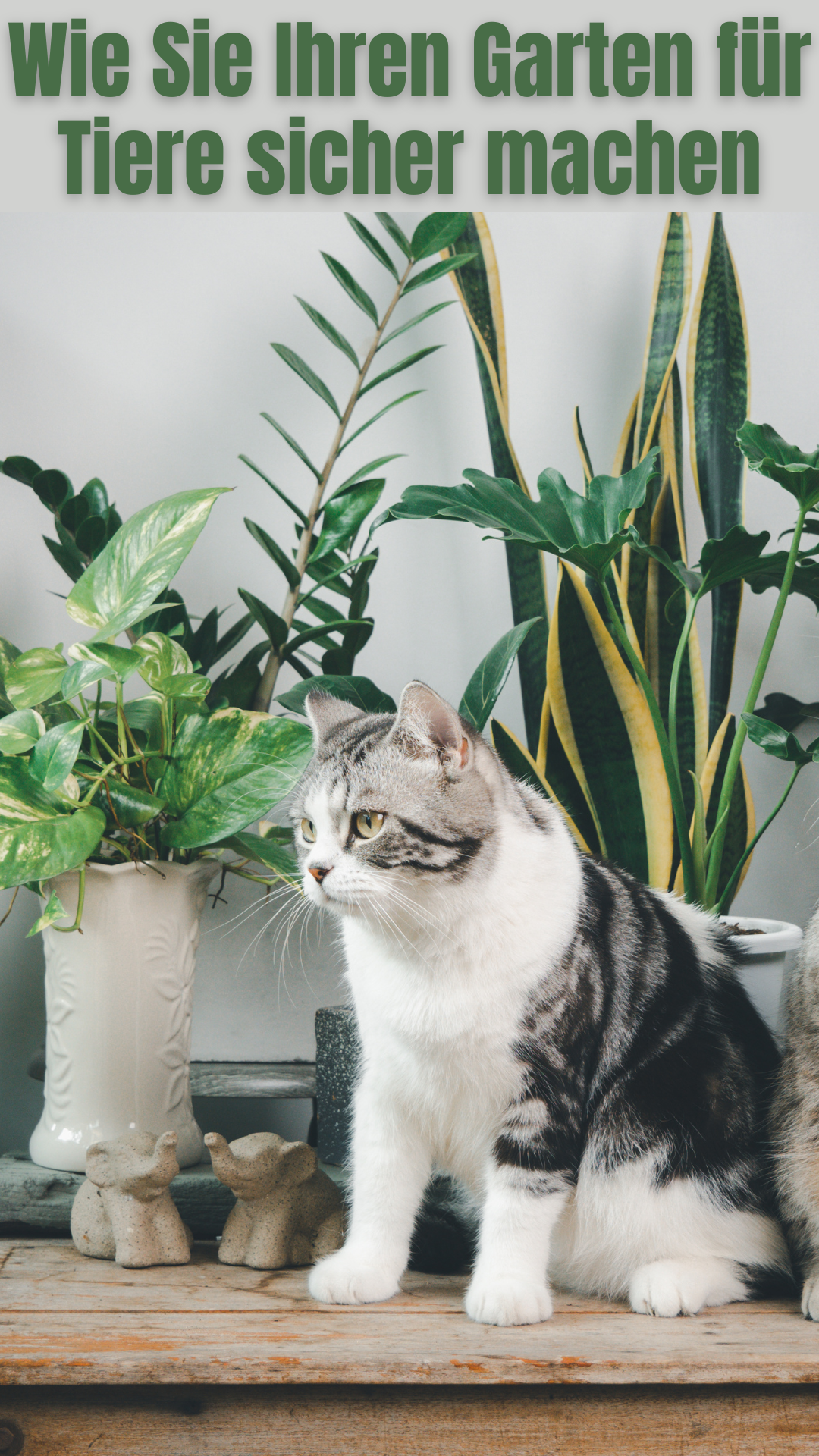 Wie Sie Ihren Garten für Tiere sicher machen 🐾🍃 Wie Sie Ihren Garten für Tiere sicher machen 🐾🍃