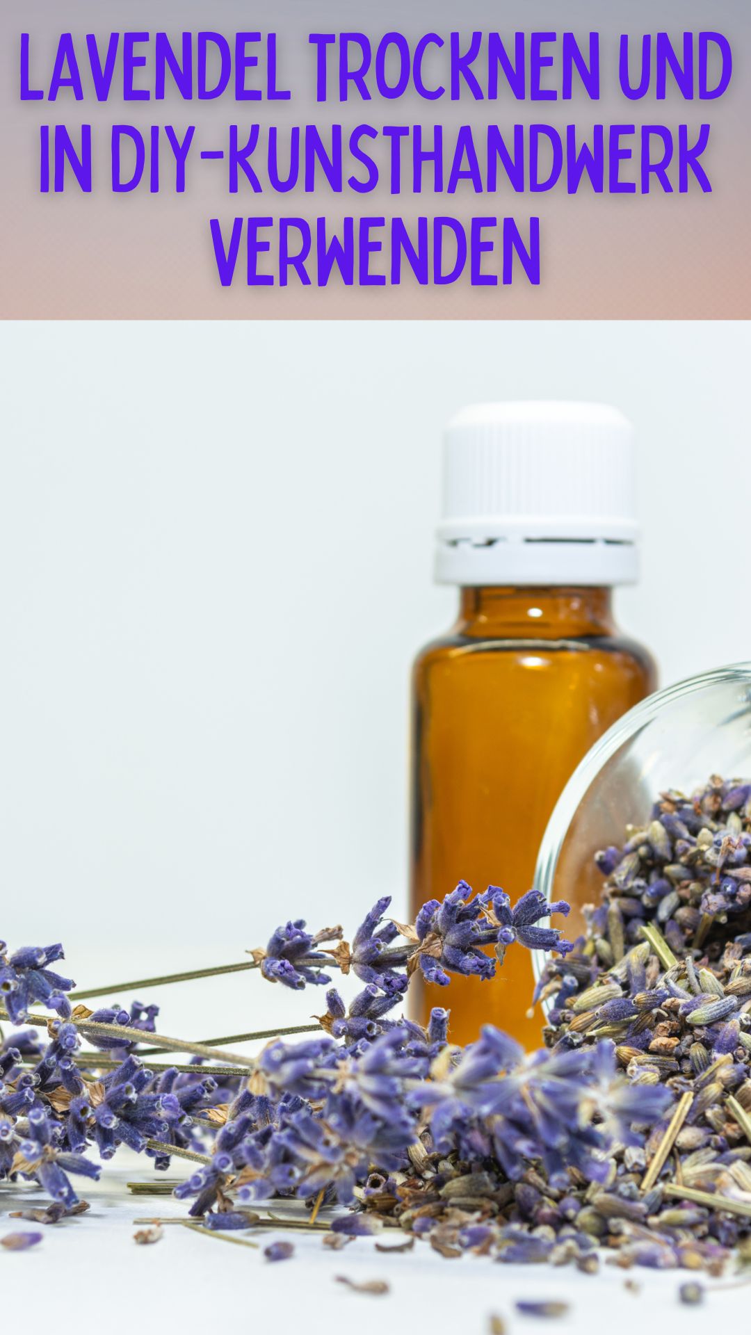 Vom Garten ins Zuhause: Lavendel trocknen und in DIY-Kunsthandwerk verwenden 🏡💜 Vom Garten ins Zuhause: Lavendel trocknen und in DIY-Kunsthandwerk verwenden 🏡💜