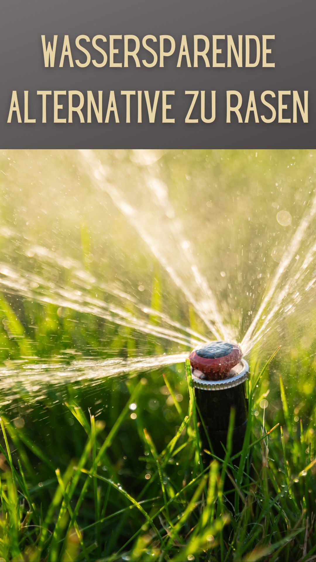 Wassersparen mit Wassersparenden Rasenalternativen 🌿💧