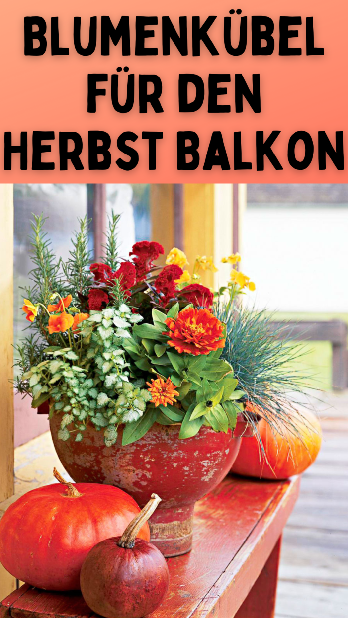 Blumenkübel für den Herbst Balkon