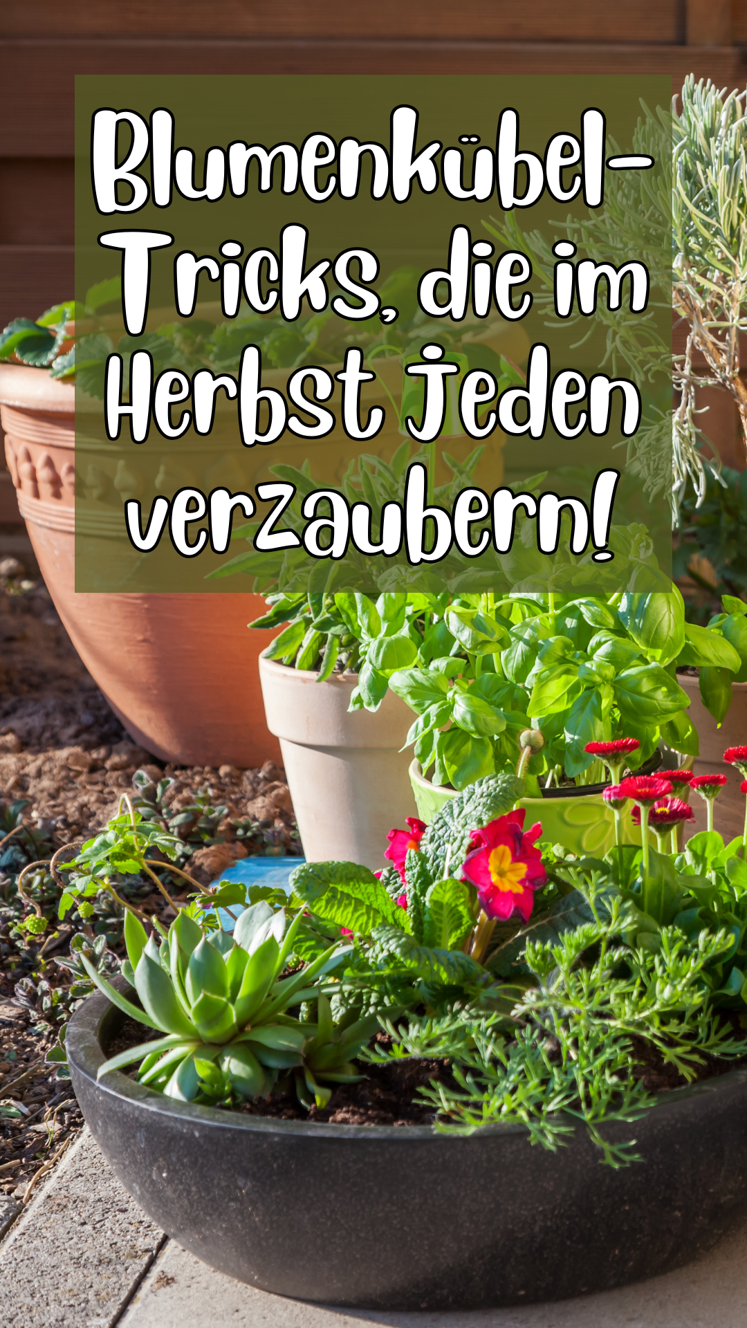 Blumenkübel für den Herbst im Freien: Ein Guide für farbenfrohe Gärten 🍂 Blumenkübel für den Herbst im Freien: Ein Guide für farbenfrohe Gärten 🍂