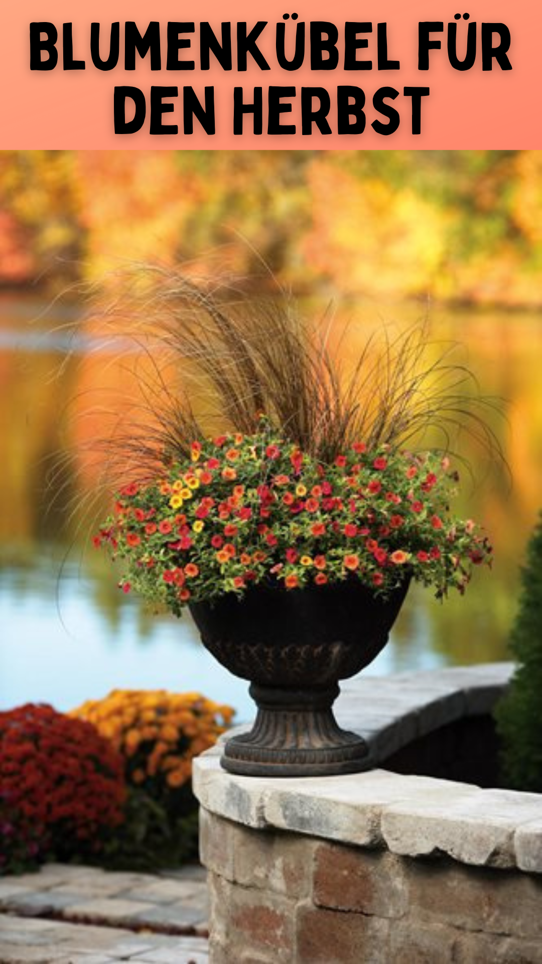 Blumenkübel für den Herbst: Preiswert einkaufen und stilvoll dekorieren 🍂🌼
