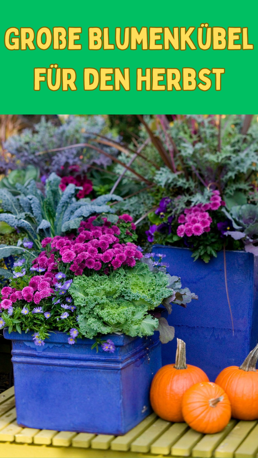 Große Blumenkübel für den Herbst: Ein Guide für Ihre Gartengestaltung 🍂🌼 Große Blumenkübel für den Herbst: Ein Guide für Ihre Gartengestaltung 🍂🌼