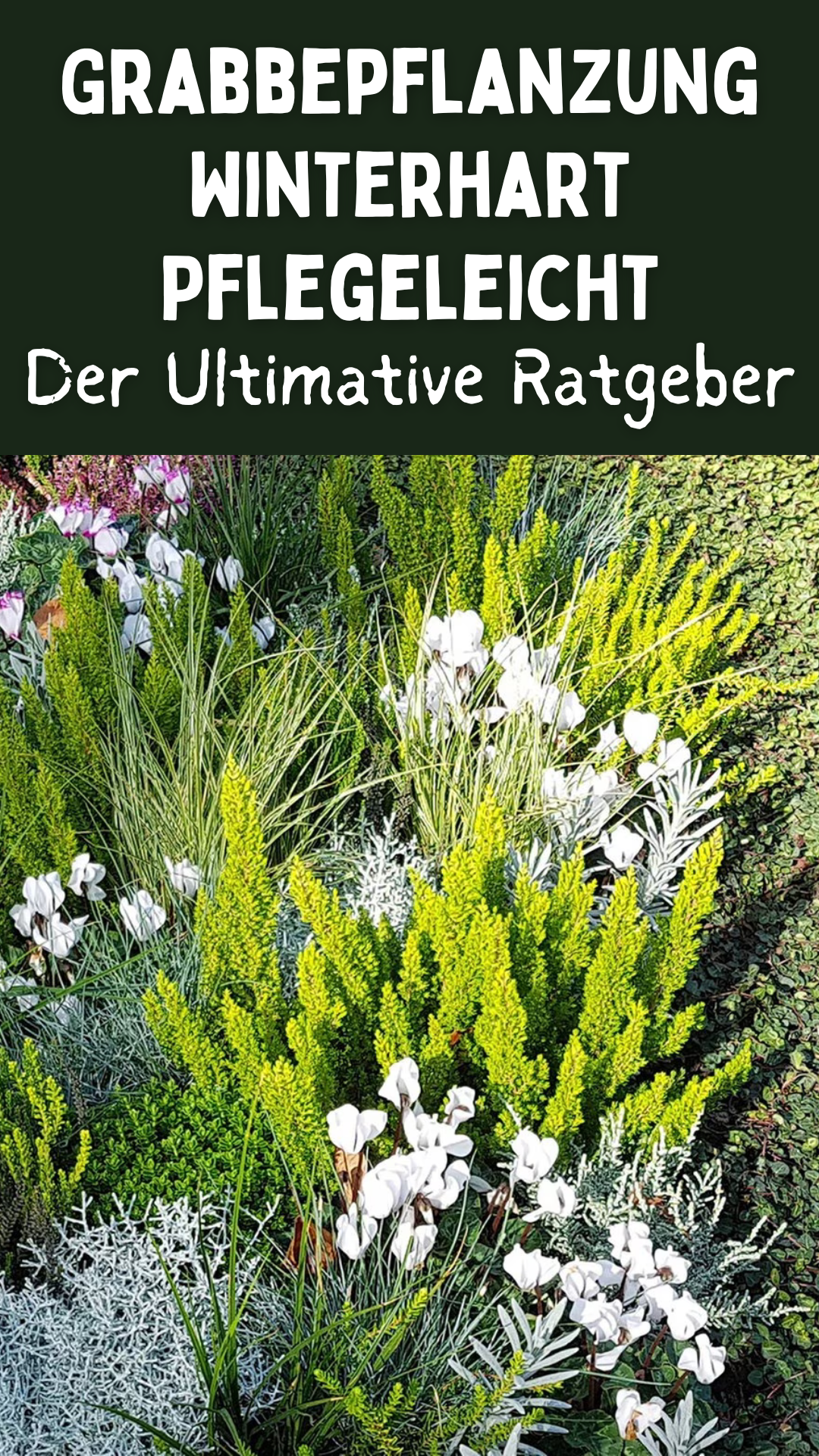 Grabbepflanzung Winterhart Pflegeleicht: Der Ultimative Ratgeber Grabbepflanzung Winterhart Pflegeleicht: Der Ultimative Ratgeber