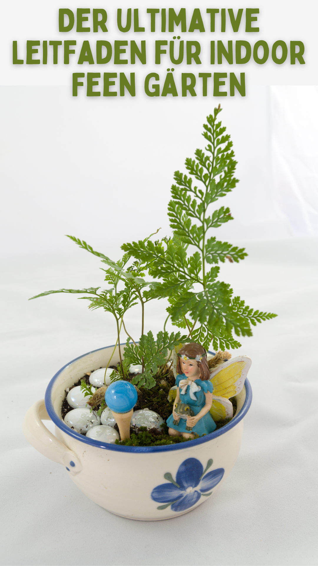 Der ultimative Leitfaden für Indoor Feen Gärten: Alles, was Sie wissen müssen! 🍄✨ Der ultimative Leitfaden für Indoor Feen Gärten: Alles, was Sie wissen müssen! 🍄✨