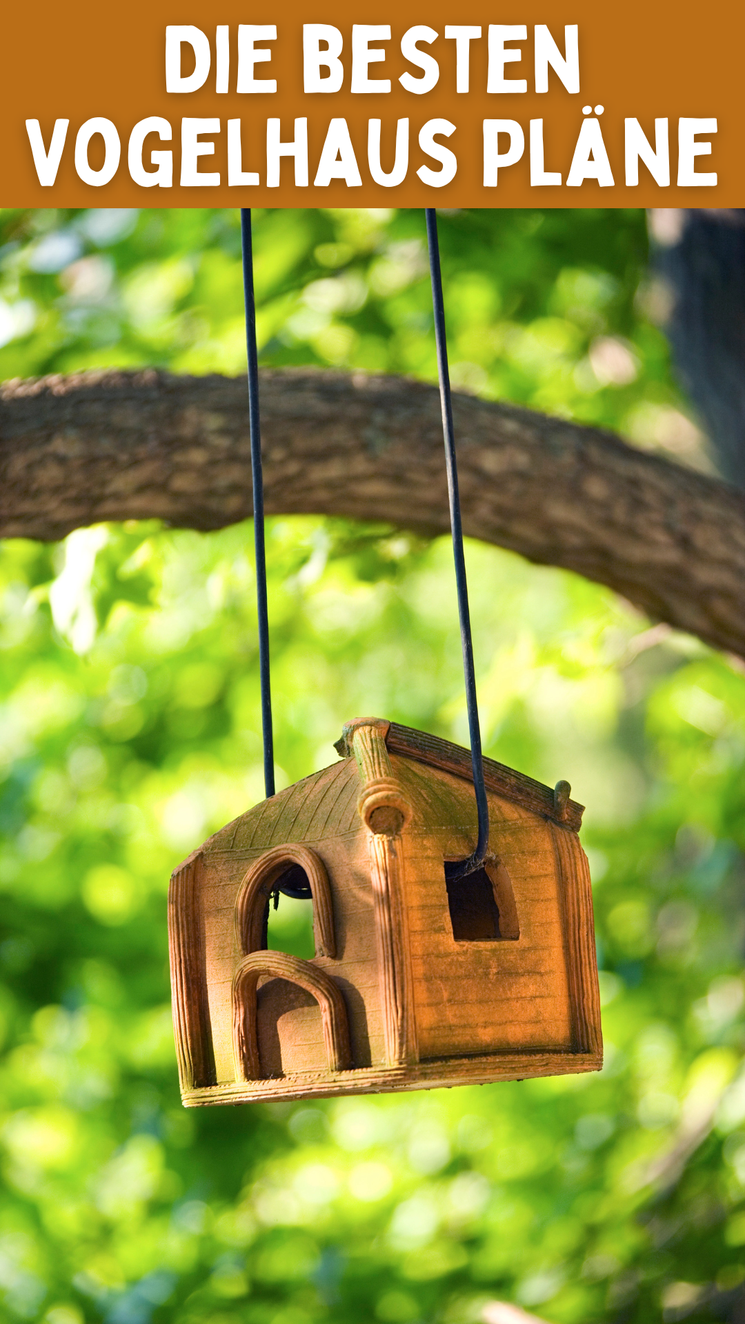 Die besten Vogelhaus Pläne: Kostenlos, einfach und auf Deutsch! 🐦🏠