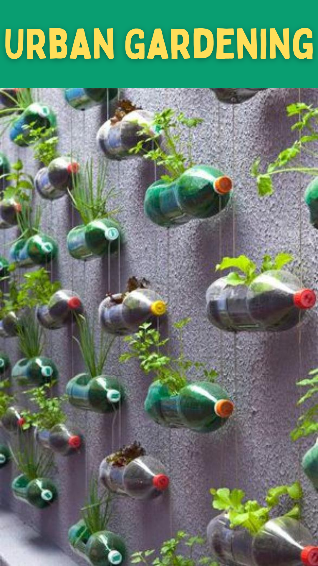 Urban Gardening: Revolutionieren Sie Ihren Lebensstil und Ihre Stadt!