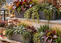 Die 3 besten Blumenkasten für Herbst und Winter Ideen die monatelang schön bleiben Die 3 besten Blumenkasten für Herbst und Winter Ideen die monatelang schön bleiben
