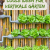 7 Atemberaubende Coole Ideen für Vertikale Gärten: Lass Deine Wände Wachsen! 🌿🌸