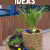 Kreative Blumenbeet Ideen: Ein Leitfaden für atemberaubende Gärten
