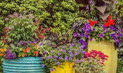 Dekorative Blumenkübel für Herbstpflanzen: Gestalten Sie Ihren Außenbereich 🍂🌼