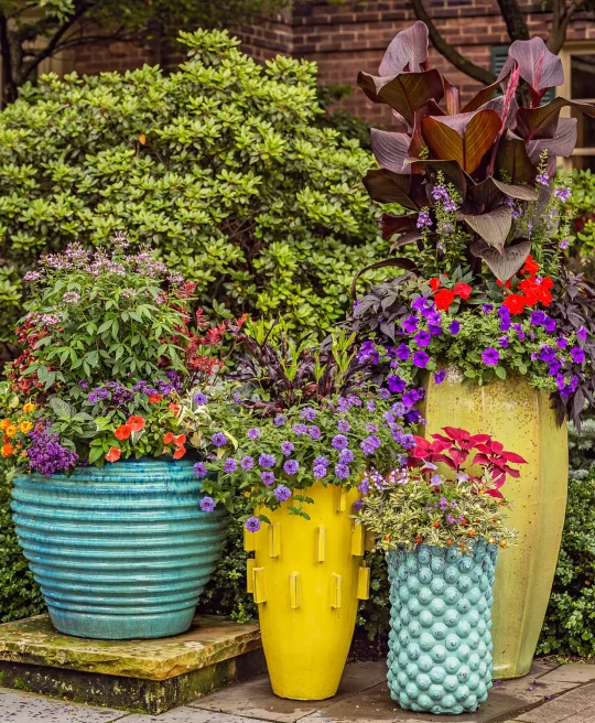 Permalink to Dekorative Blumenkübel für Herbstpflanzen: Gestalten Sie Ihren Außenbereich 🍂🌼