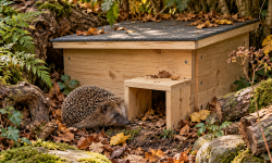 Die 3 besten Igelhaus selber bauen Ideen die deinen Garten zum sicheren Winterquartier machen