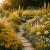 Die 3 schönsten Yellow Flower Ideen die jeden Garten sofort außergewöhnlich wirken lassen