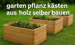 Garten Pflanzkästen aus Holz selber bauen So einfach wird dein Garten zum DIY-Paradies