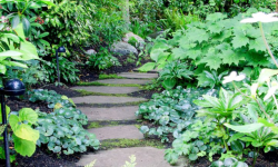 Garten Gestaltungsideen für Schattige Bereiche: Lassen Sie Schatten Ihr Verbündeter Werden 🌳🌿