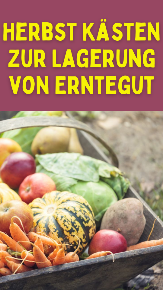 Permalink to Herbst Kästen zur Lagerung von Erntegut: Ihr ultimativer Guide 🍂