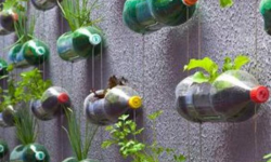 Urban Gardening: Revolutionieren Sie Ihren Lebensstil und Ihre Stadt!