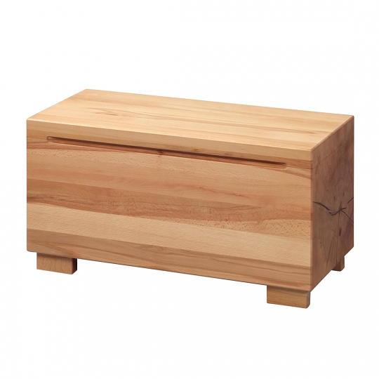 Permalink to Massivholz Gartenbank Mit Stauraum Truhe Thorben Kernbuche Geoelt